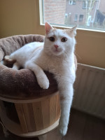 /album/26-02-2026/whatsapp-image-2026-02-26-at-17-53-53-3-jpeg/